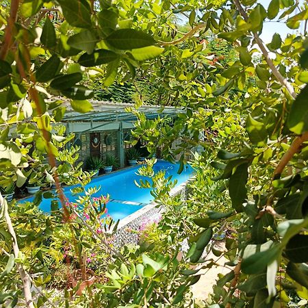 פנום פן Silk Island Homestay מראה חיצוני תמונה