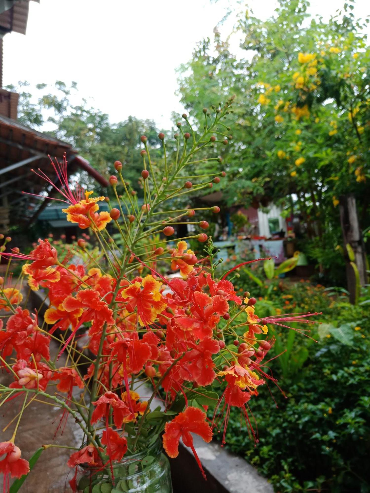 פנום פן Silk Island Homestay מראה חיצוני תמונה